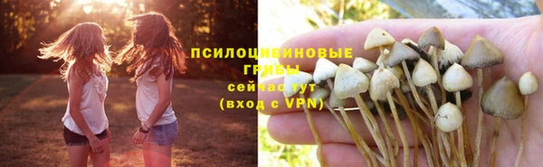индика Горнозаводск