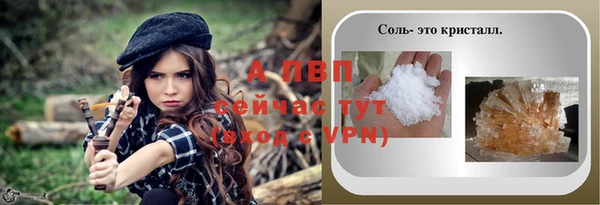 индика Горнозаводск