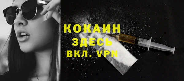 индика Горнозаводск