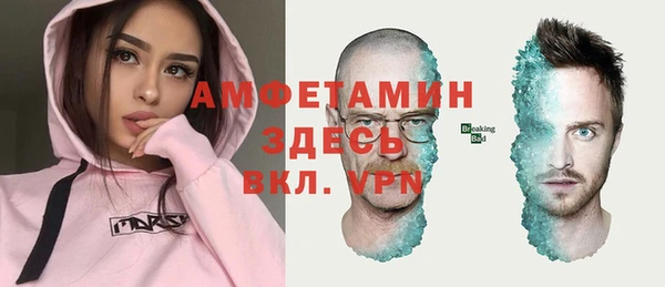 индика Горнозаводск