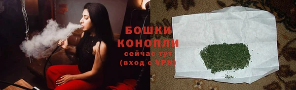 PSILOCYBIN Горно-Алтайск