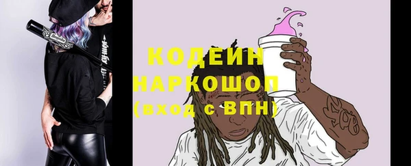 индика Горнозаводск