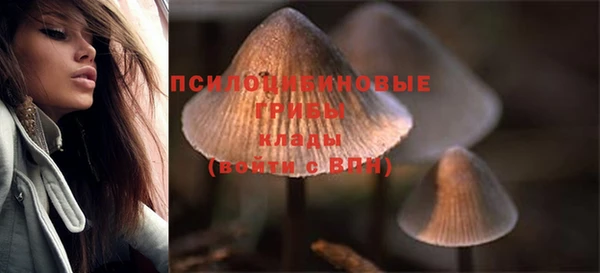индика Горнозаводск