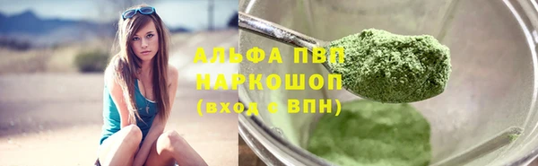 PSILOCYBIN Горно-Алтайск