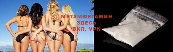 индика Горнозаводск