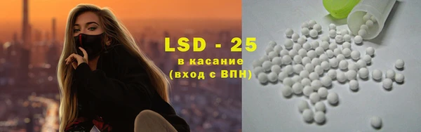 PSILOCYBIN Горно-Алтайск