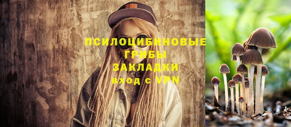 индика Горнозаводск