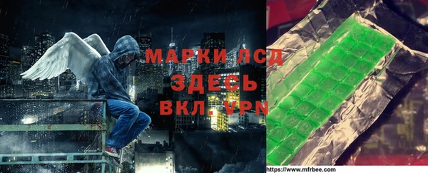 индика Горнозаводск