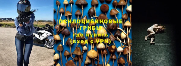 PSILOCYBIN Горно-Алтайск