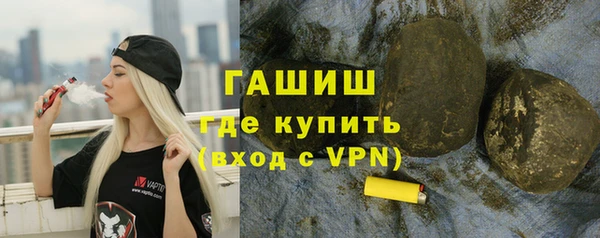 индика Горнозаводск