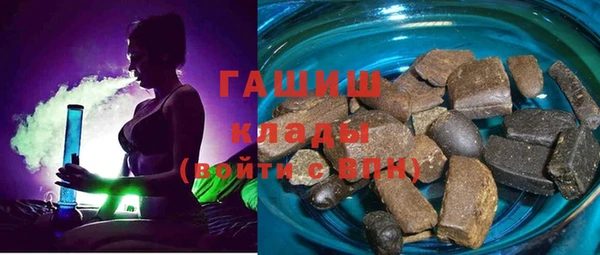 индика Горнозаводск