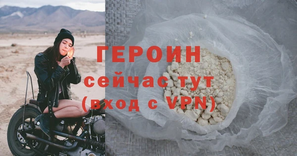 индика Горнозаводск