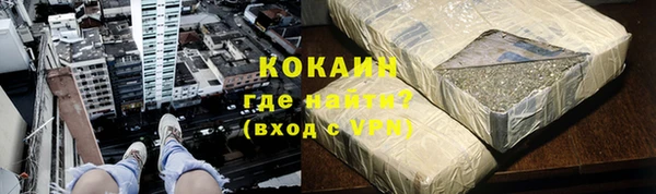 индика Горнозаводск