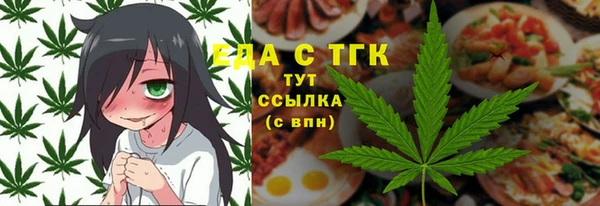индика Горнозаводск