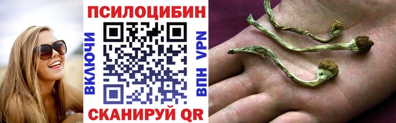 Галлюциногенные грибы ЛСД Купить закладки Шенкурск